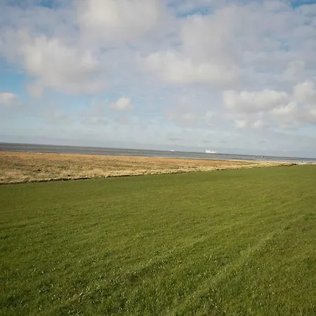 Naturdune 11